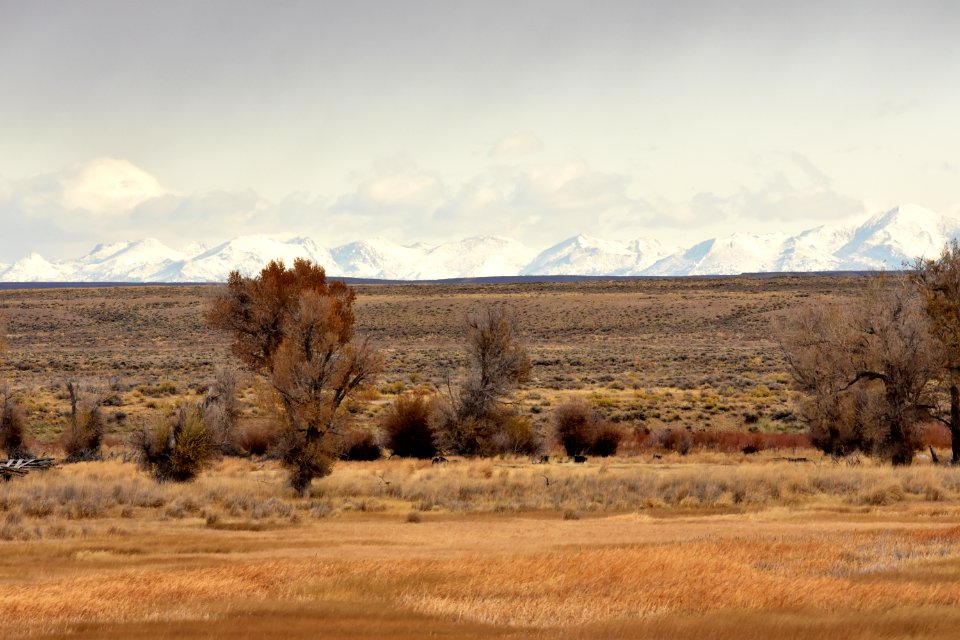 Seedskadee National Wildlife Refuge