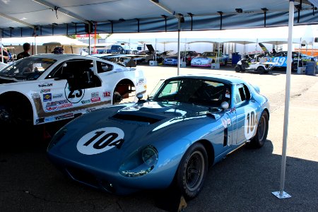 Daytona Cobra