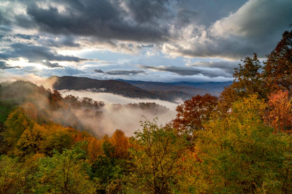 Foothills Parkway, November 2018--Joye Ardyn Durham