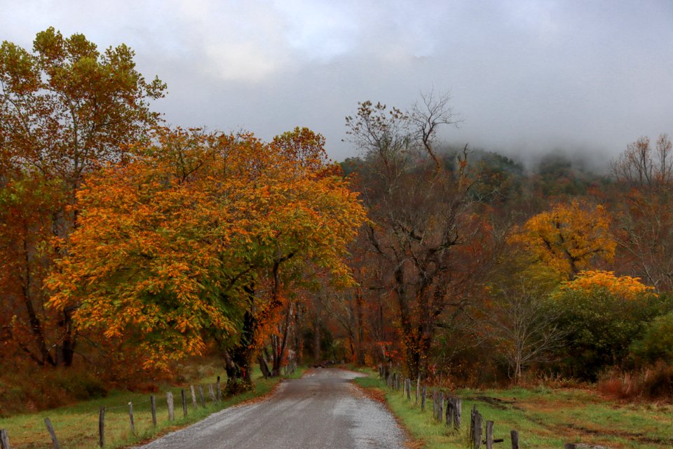 Sparks Lane, October 24, 2020 - Warren Bielenberg