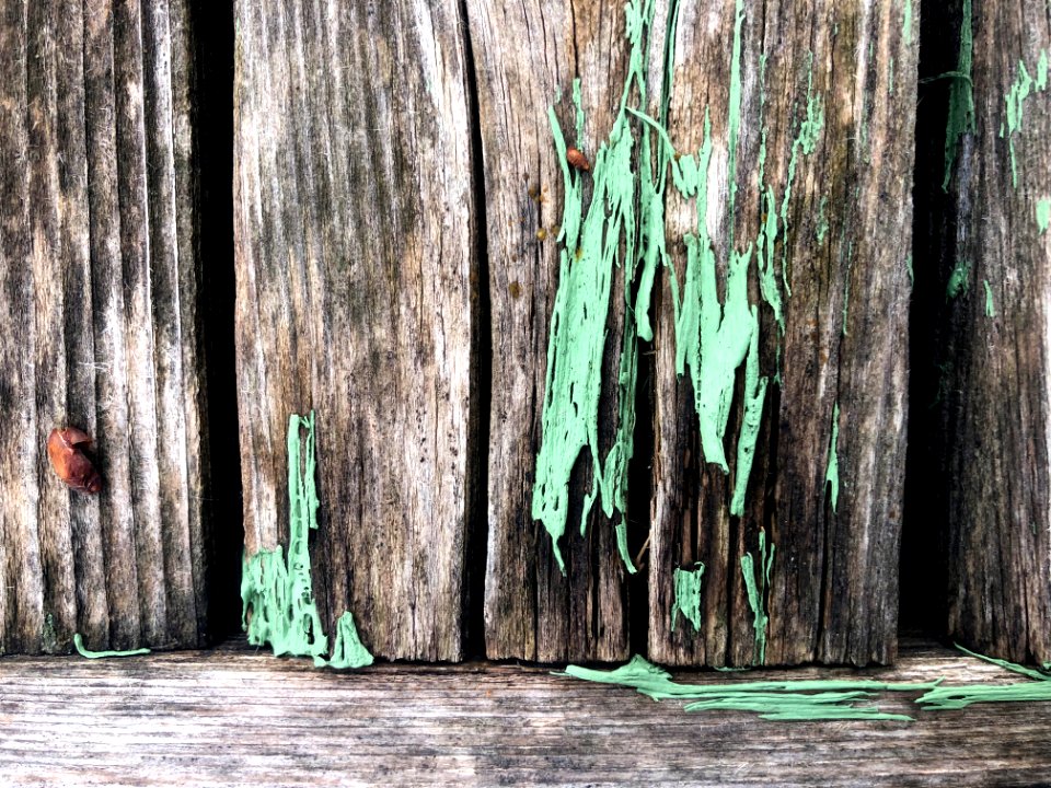 Once Was Green