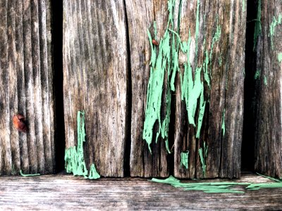 Once Was Green