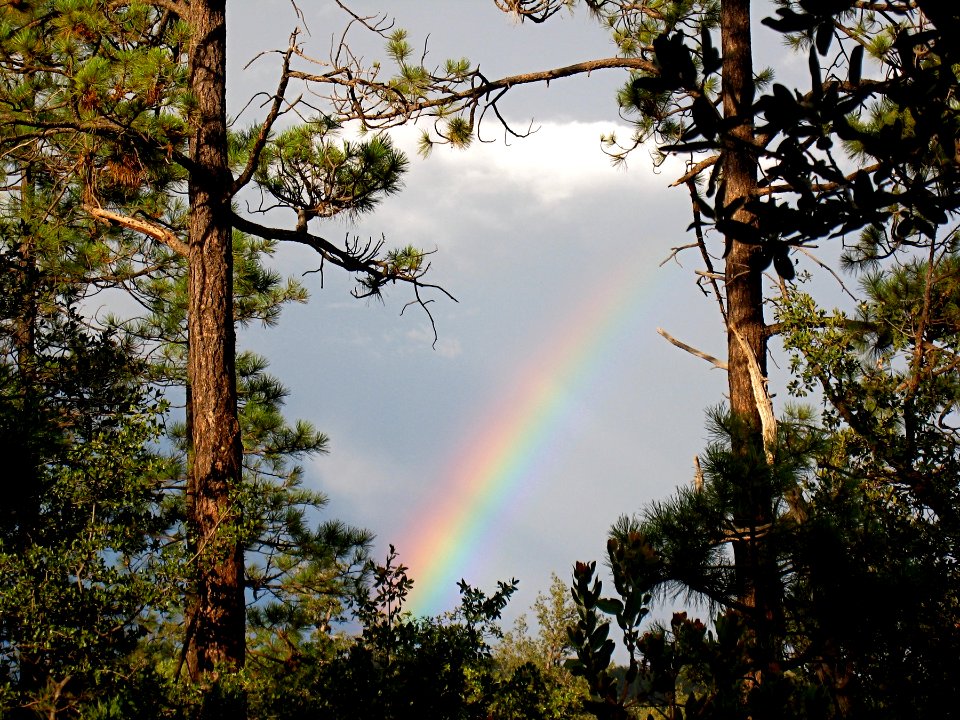 Framed Rainbow