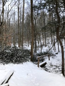 Fighting Creek Nature Trail bridge, January 2018--Andrea Walton