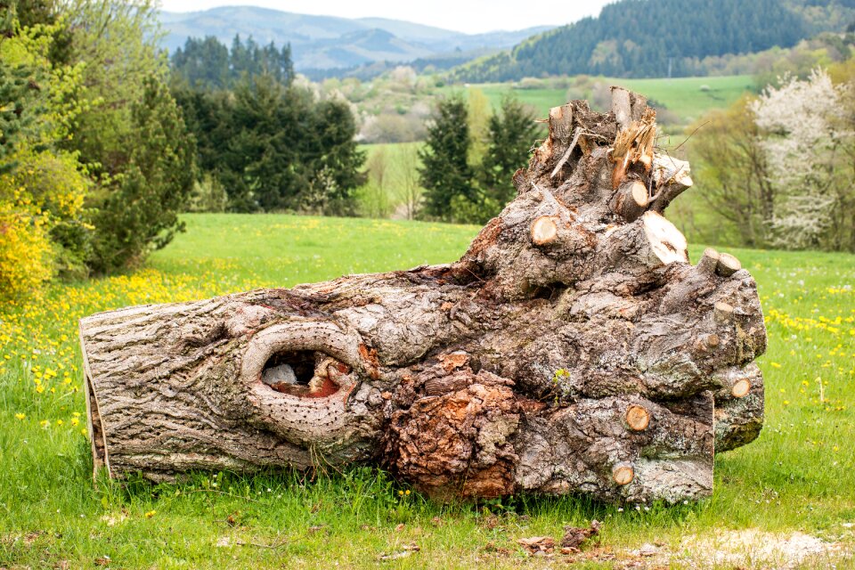 Mountains gnarled hole