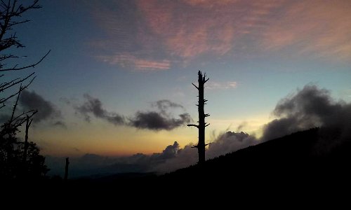 Twilight at Clingmans Dome, July 2015--Andrea Walton