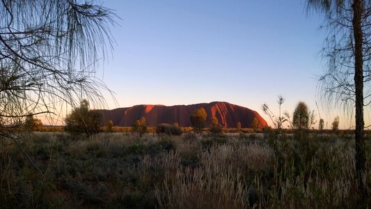 Ayers rock in winter mountain grass