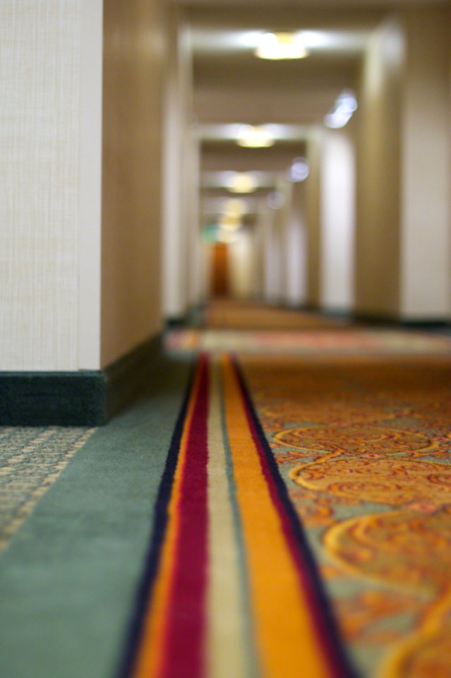 2009/365/252 Down the Hall