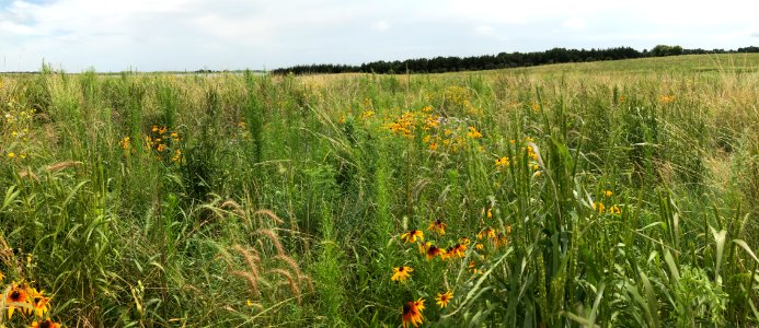 Panorama: 2nd-season Reconstruction at Knutson WPA photo