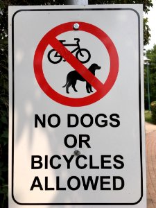 No Cogs? No Dogs? What's Next, No Blogs?