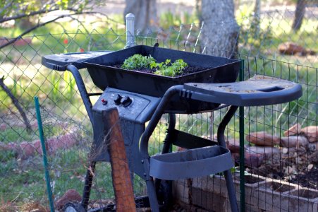 2010/253/114 Barbeplanter