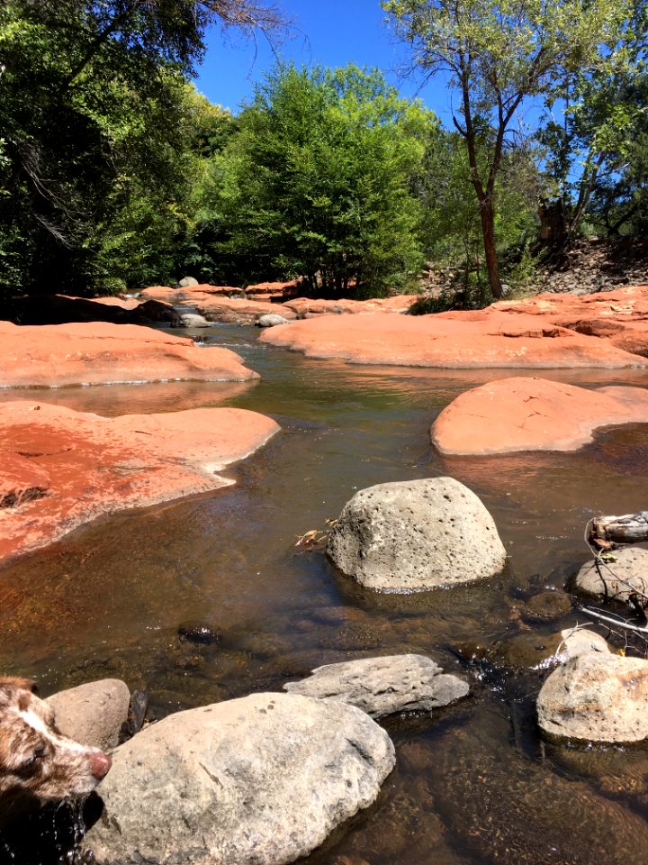 2017/365/229 Basalt and Sandstone Carved in the Creek