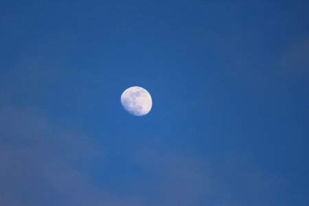Saturday, January Moon Rise 1/16