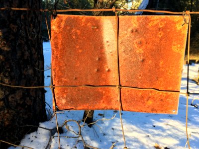 2017/365/32 No Rusting Allowed At Any Time