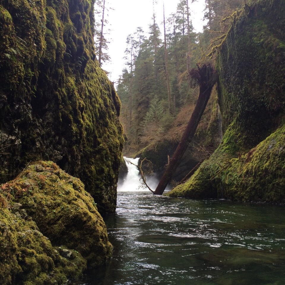 River water stream green photo