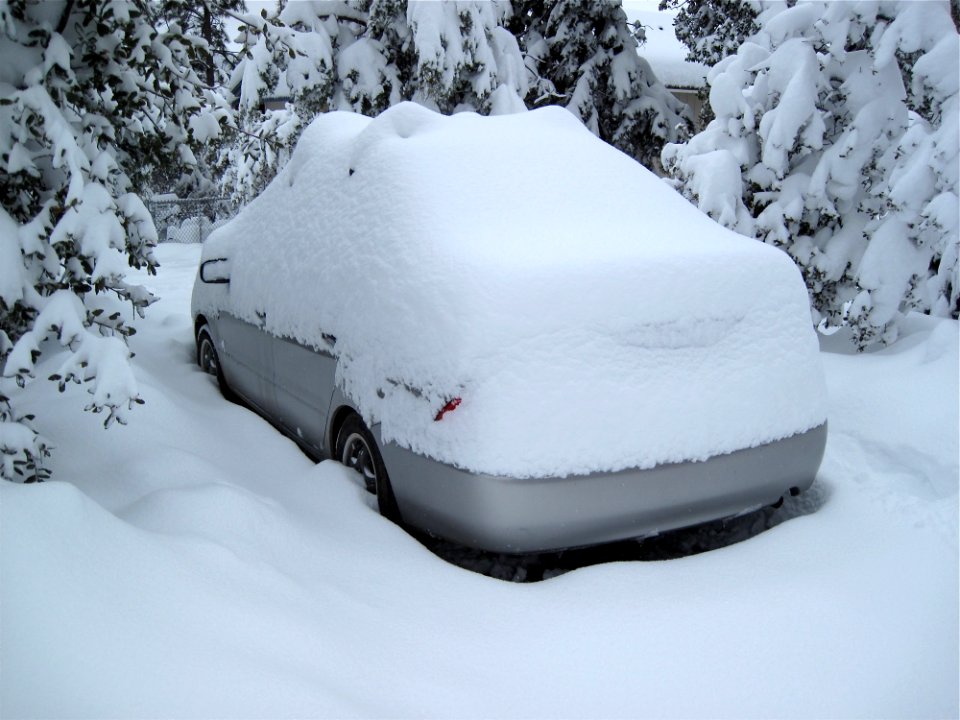 My Car Was Gray