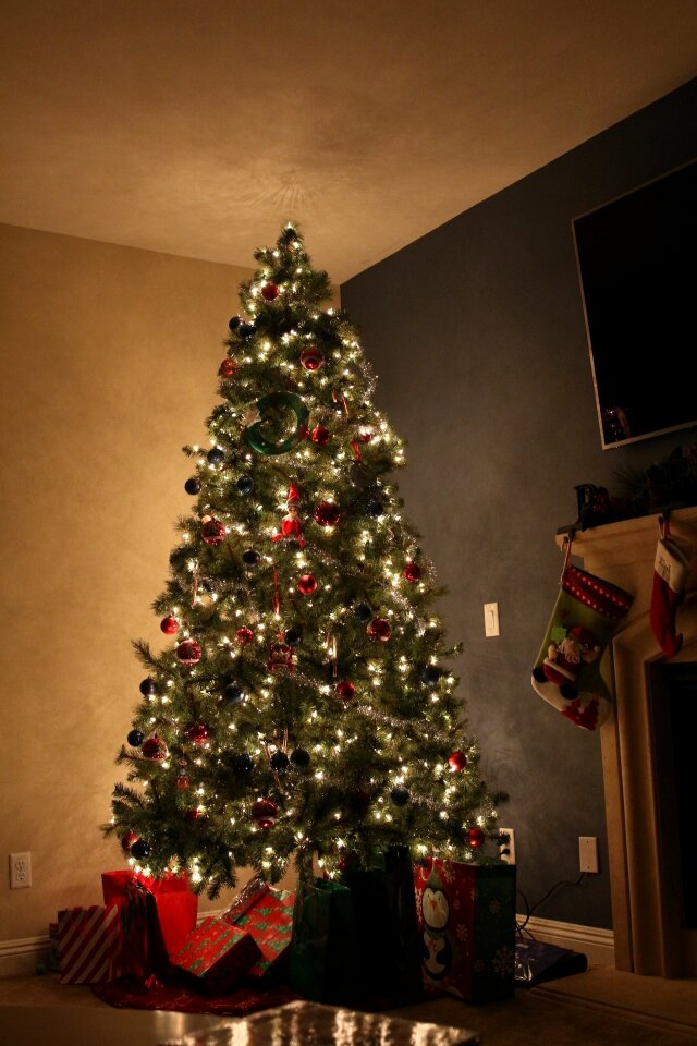 Holiday winter decoration