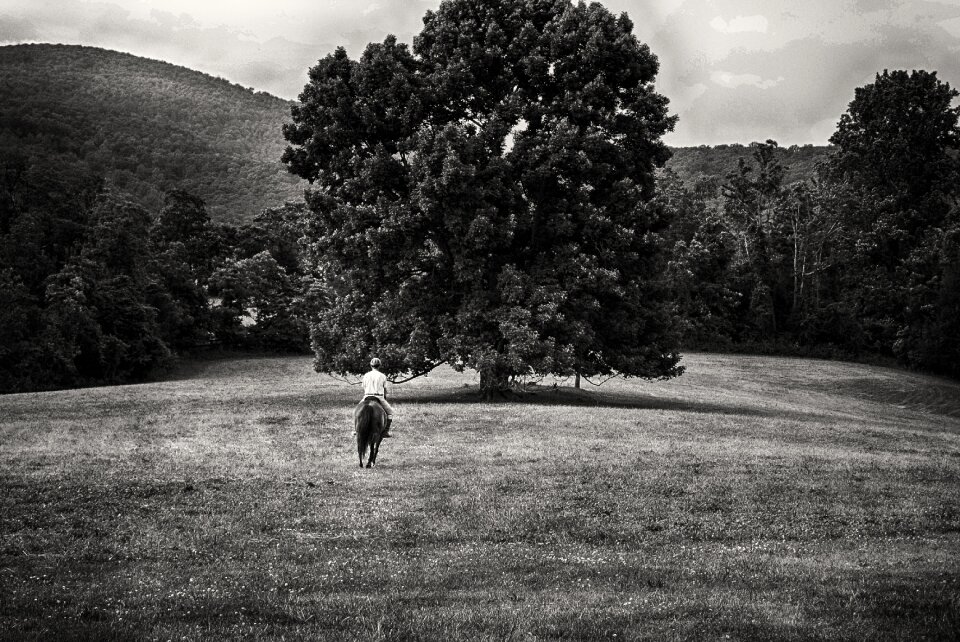 Farm black and white gray farm