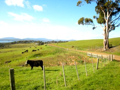 Countryside photo