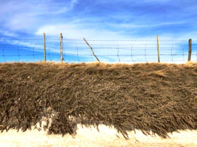 2020/366/60 Prairie Stratigraphy
