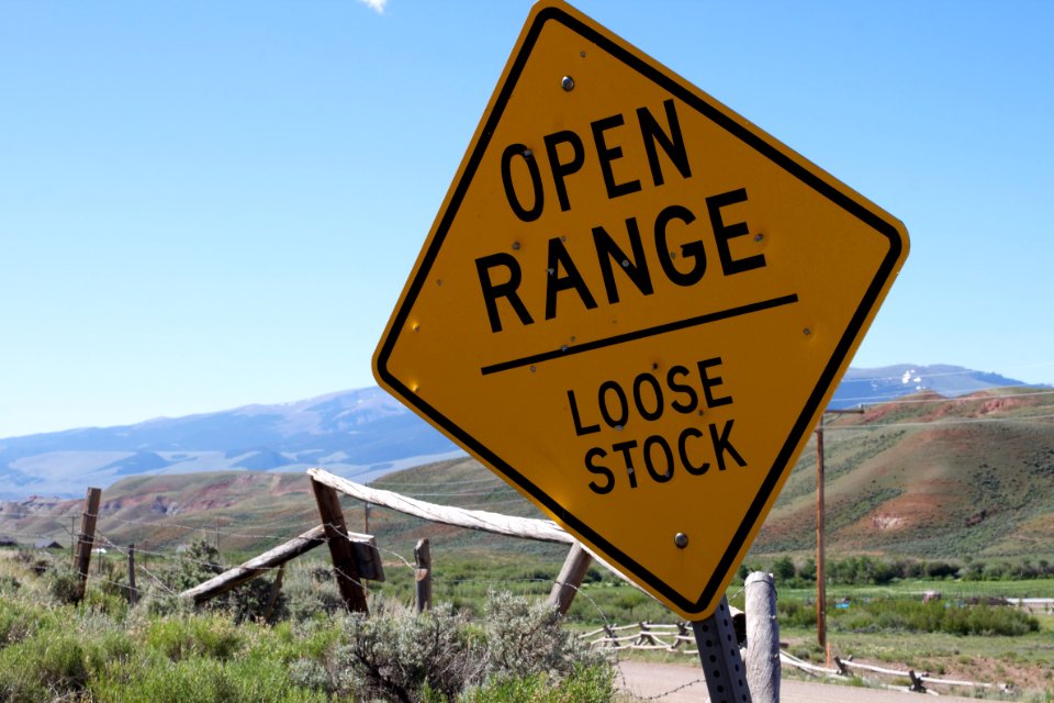 Ranging in the Open