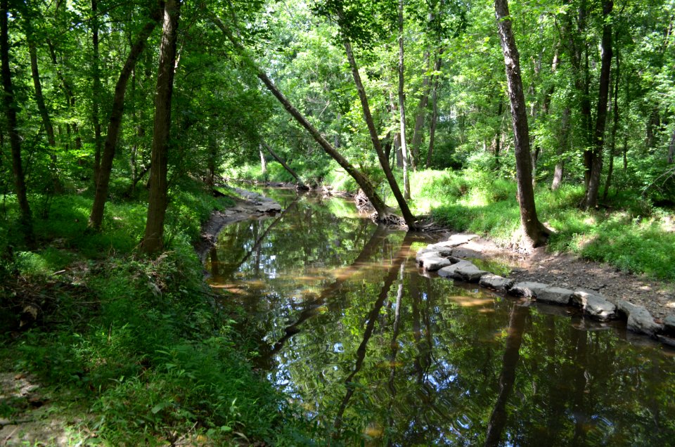 Northwest Branch