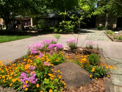 Sugarlands Visitor Center Pollinator Garden, May 2018--Andrea Walton