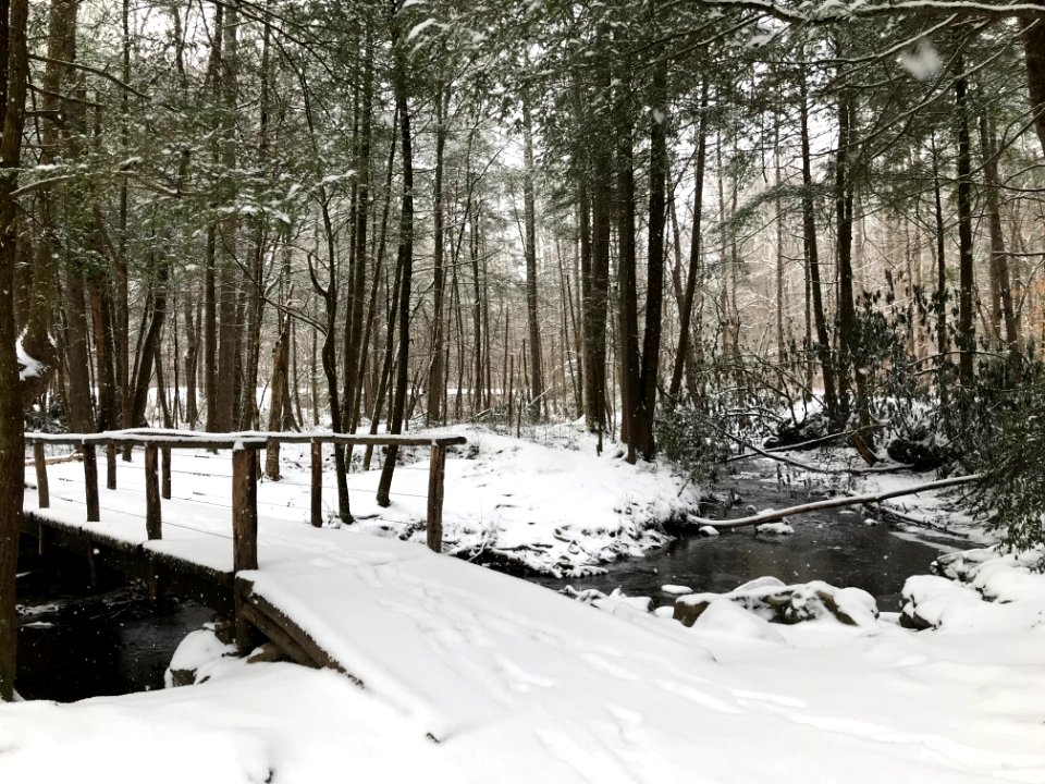 Snow on the trail to Cataract Falls, January 2018--Andrea Walton
