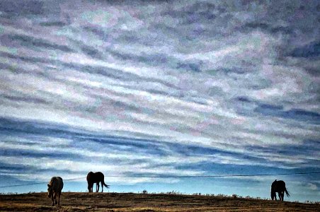 2020/366/89 Painted Days on the Prairie photo