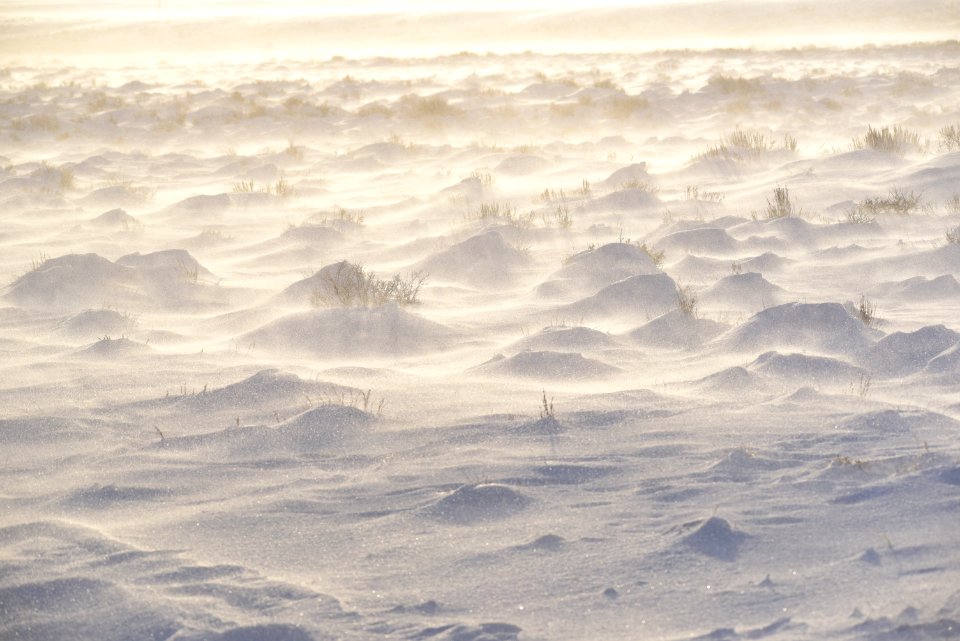Sage steppe at Seedskadee National Wildlife Refuge