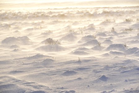 Sage steppe at Seedskadee National Wildlife Refuge