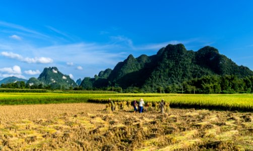 Tây Bắc 2015-261