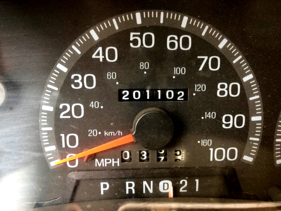 2020/366/181 Palindrometer