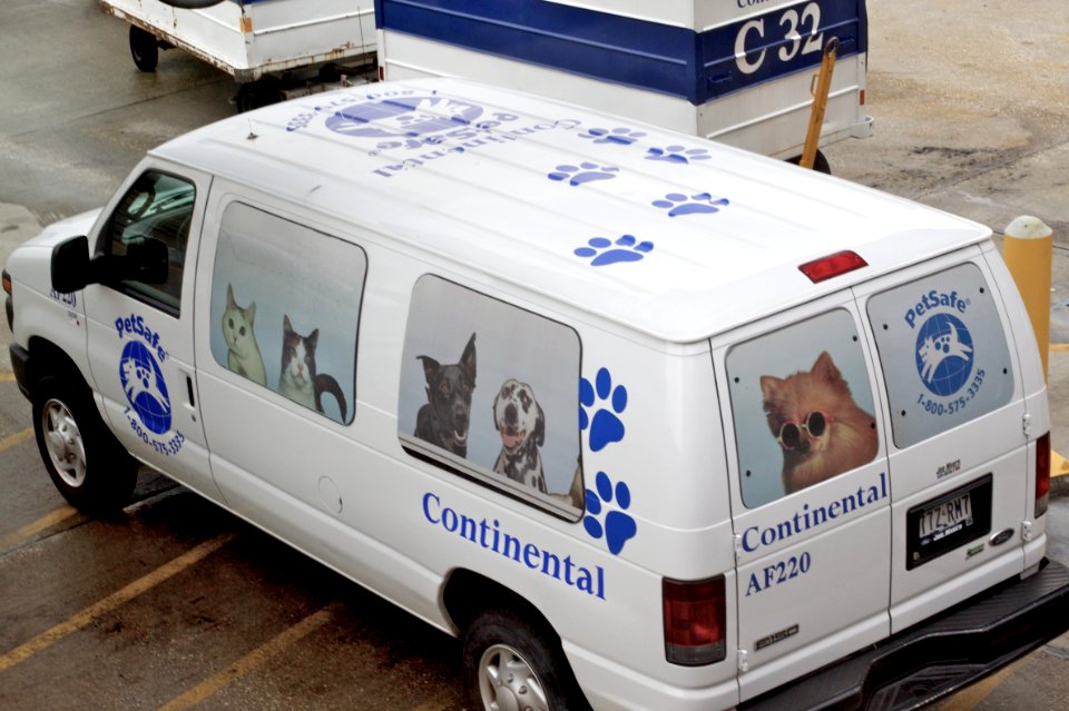 Who Let the Dogs Drive?
