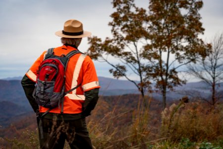 Foothills Parkway Community Day, November 8, 2018--Joye Ardyn Durham