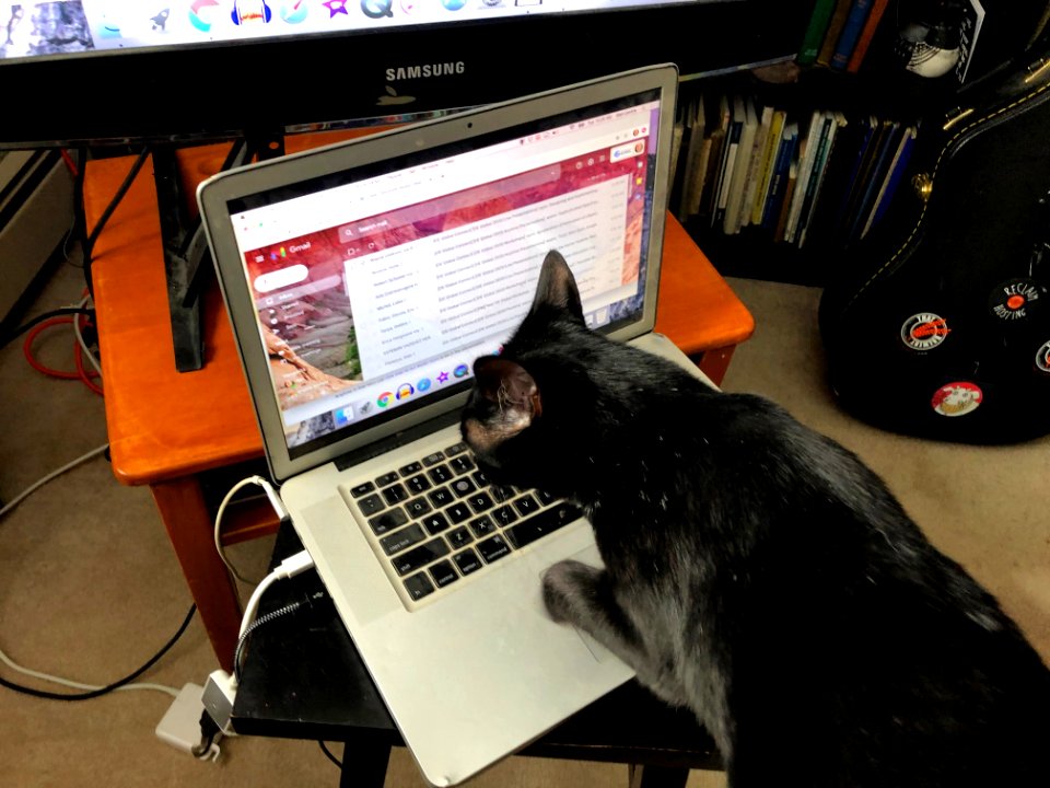Maggie is Taking Care of My Email Today