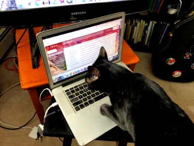 Maggie is Taking Care of My Email Today