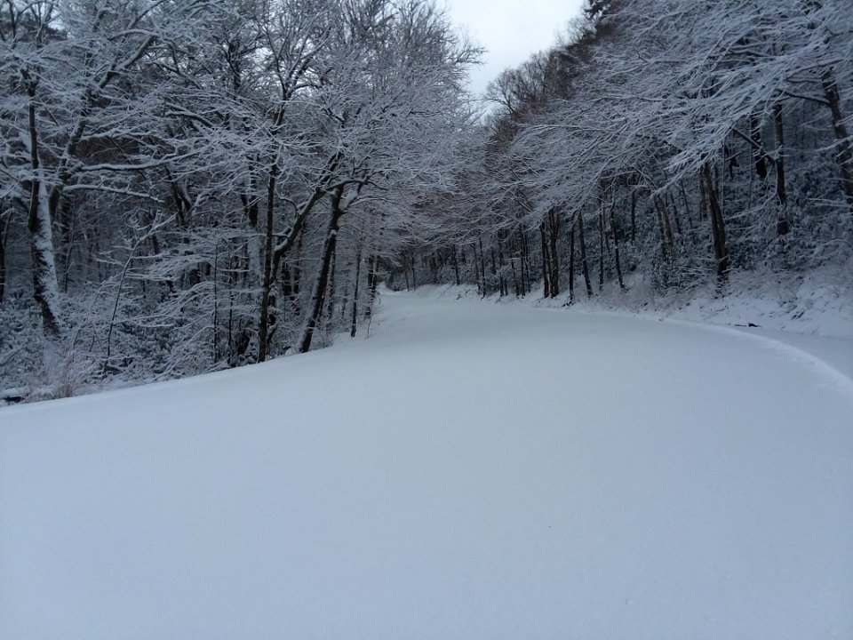 Newfound Gap Road covered in snow, 1/29/2019--NPS photo