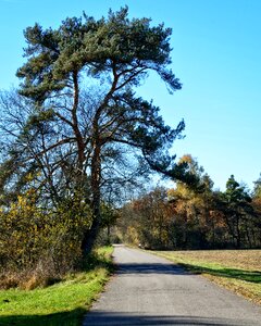 Autumn away road photo