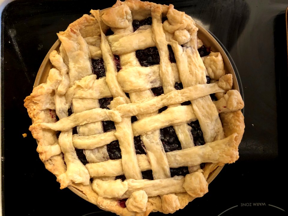 2020/366/130 A Saskatoon Berry Pie