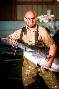 Biologist with a paddlefish