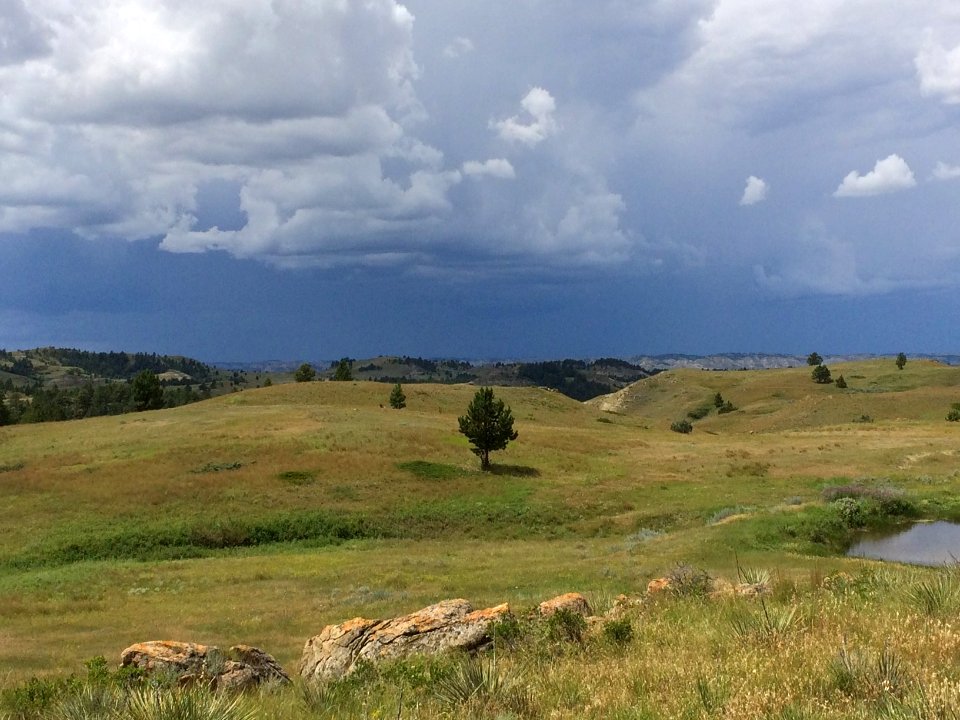 Cabin Coulee Thunderstorm