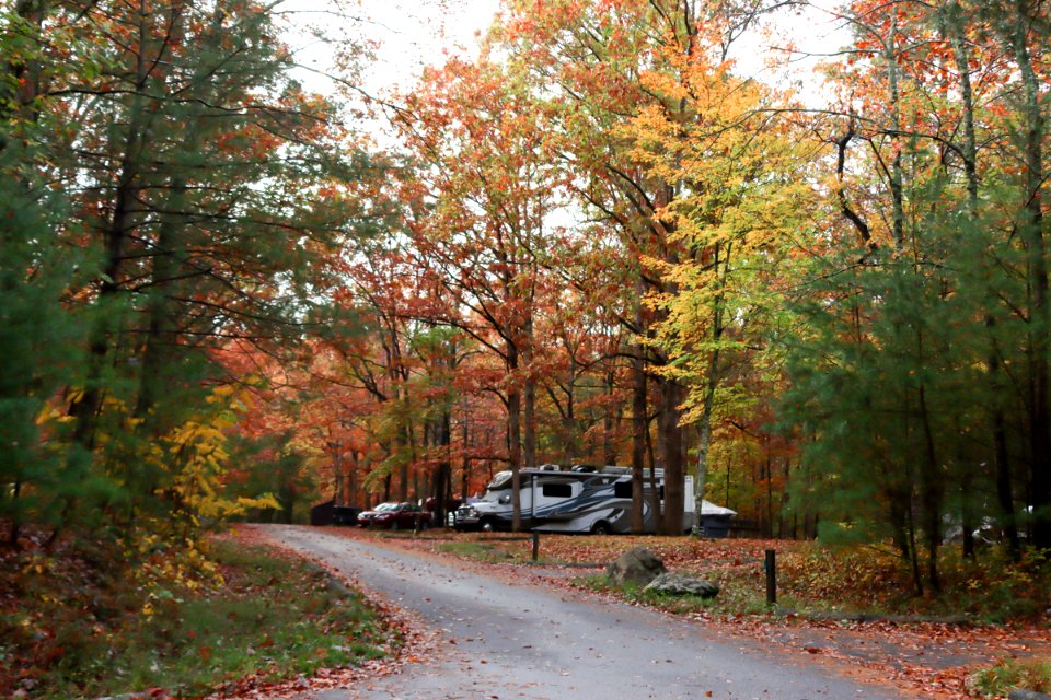 Cades Cove Campground, October 24, 2020 -- Warren Bielenberg (3)