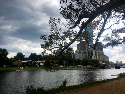 Late Afternoon on the Yarra photo