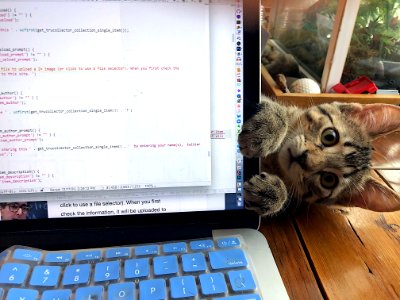 2020/366/352 IM HELPIN U CODE WODPRESSS THIME?