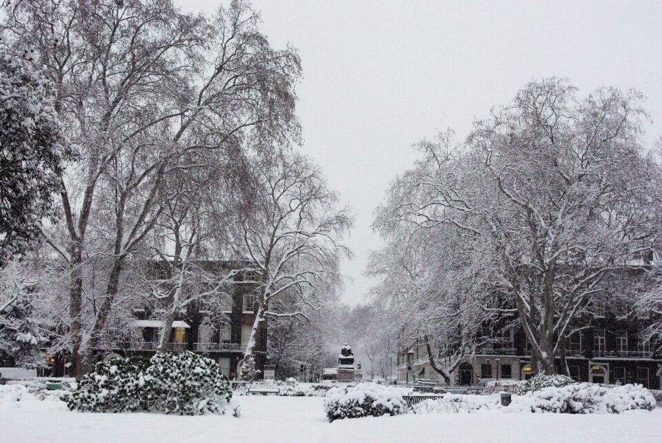 Bloomsbury square winter