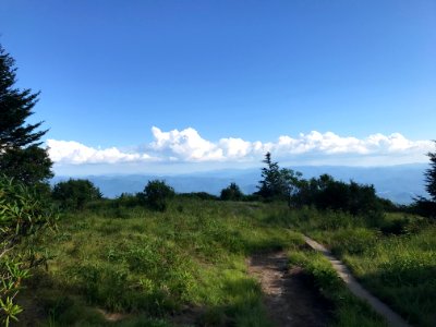 Andrews Bald, Forney Ridge Trail--Andrea Walton, July 2020