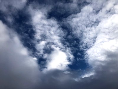 Eagle Head in the Clouds