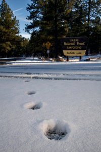 20181203-FS-KAIBAB-LSC-0037