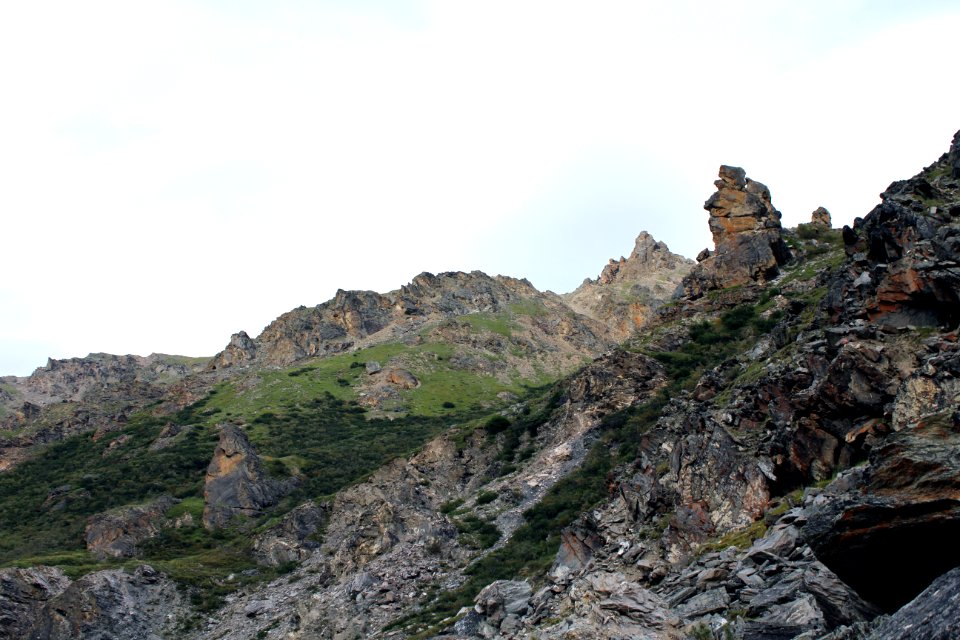 Denali National Park 20